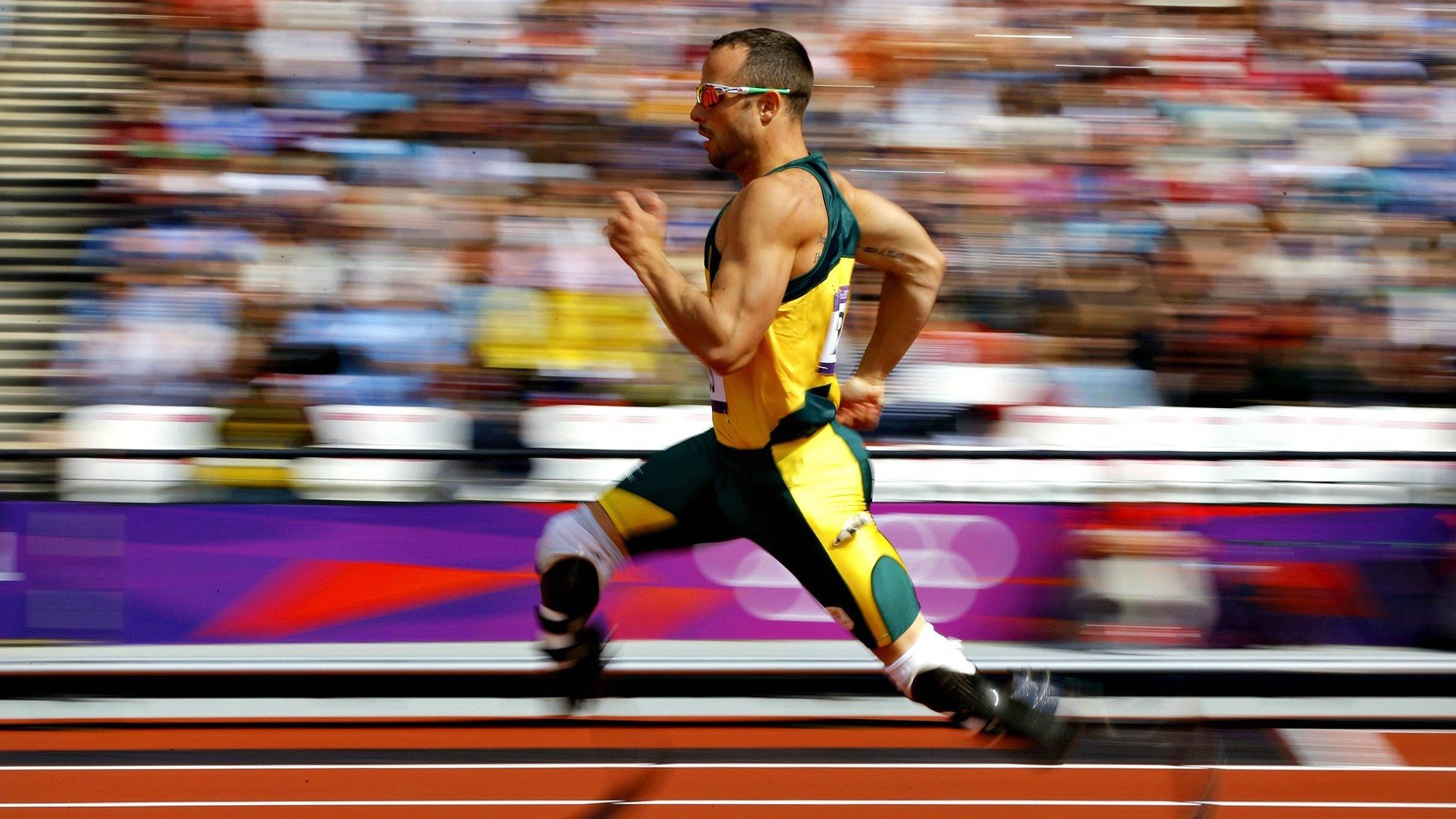 刷新纪录首场状态出色，日本队观众沸腾！，穆古鲁扎重返赛场比赛高潮迭起