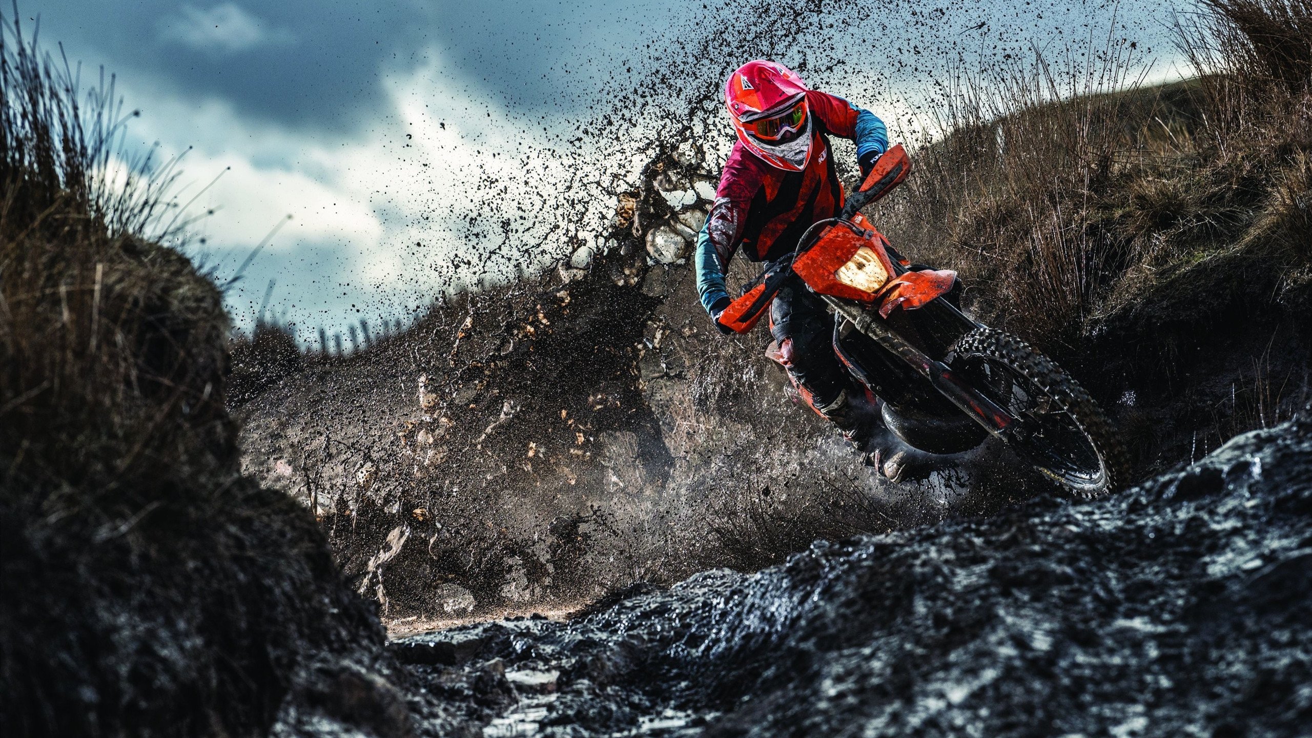 刷新纪录首场状态出色，日本队观众沸腾！，穆古鲁扎重返赛场比赛高潮迭起